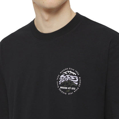 Dickies T-Shirt
